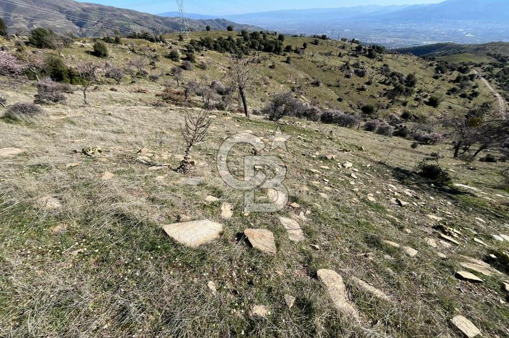 MANİSA KULA SÖĞÜTDERE KARAKUYU MEVKİİ 11.286 m² SATILIK TARLA