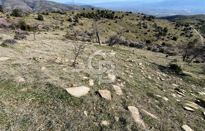 MANİSA KULA SÖĞÜTDERE KARAKUYU MEVKİİ 11.286 m² SATILIK TARLA