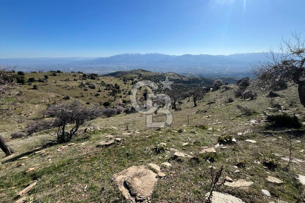 MANİSA KULA SÖĞÜTDERE KARAKUYU MEVKİİ 11.286 m² SATILIK TARLA