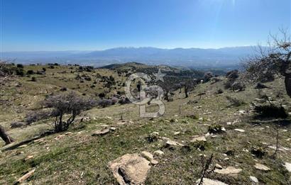 MANİSA KULA SÖĞÜTDERE KARAKUYU MEVKİİ 11.286 m² SATILIK TARLA