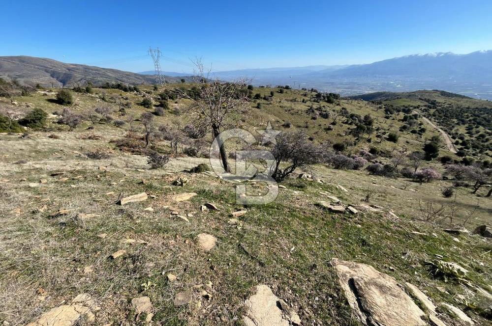 MANİSA KULA SÖĞÜTDERE KARAKUYU MEVKİİ 11.286 m² SATILIK TARLA