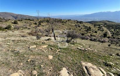 MANİSA KULA SÖĞÜTDERE KARAKUYU MEVKİİ 11.286 m² SATILIK TARLA