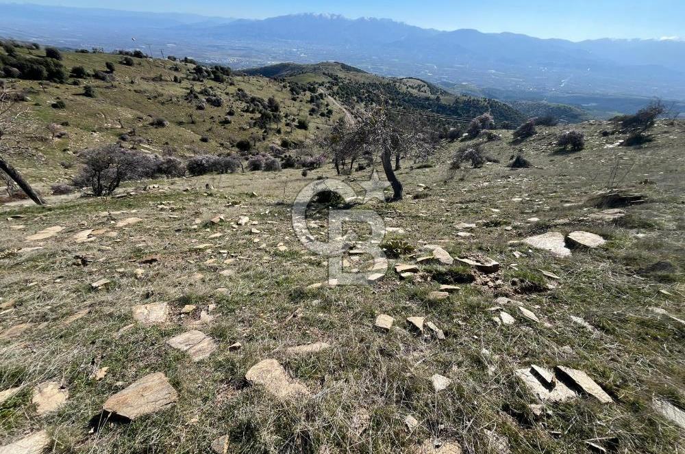 MANİSA KULA SÖĞÜTDERE KARAKUYU MEVKİİ 11.286 m² SATILIK TARLA