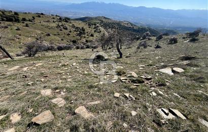 MANİSA KULA SÖĞÜTDERE KARAKUYU MEVKİİ 11.286 m² SATILIK TARLA