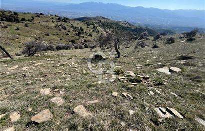 MANİSA KULA SÖĞÜTDERE KARAKUYU MEVKİİ 11.286 m² SATILIK TARLA