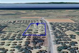 ŞARKÖY İĞDEBAĞLARI ANYOLA CEPHELİ BAKIMLI ZEYTİNLİK - 3 - 338582