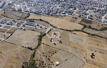 Biga Kalafat Satılık Arsa