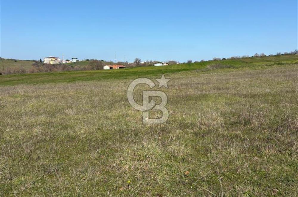 Biga Kalafat Satılık Arsa