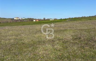 Biga Kalafat Satılık Arsa