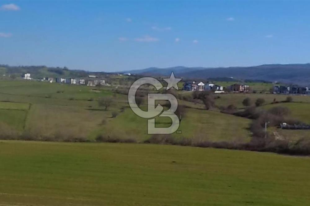 Biga Kalafat Satılık Arsa