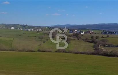 Biga Kalafat Satılık Arsa