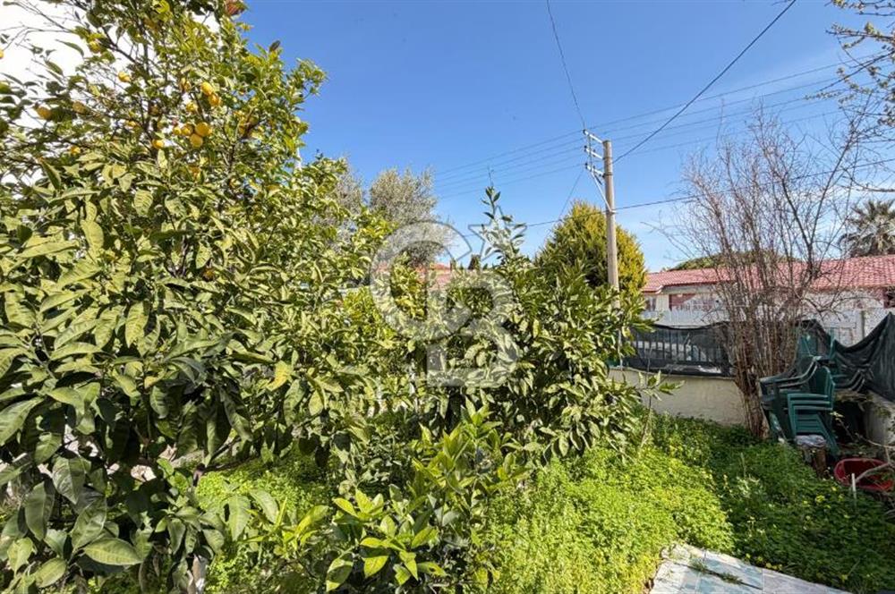 Karaburun Mordoğan'da Denize Yürüme Mesafesinde Müstakil Ev