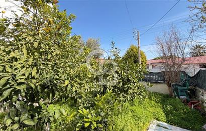 Karaburun Mordoğan'da Denize Yürüme Mesafesinde Müstakil Ev