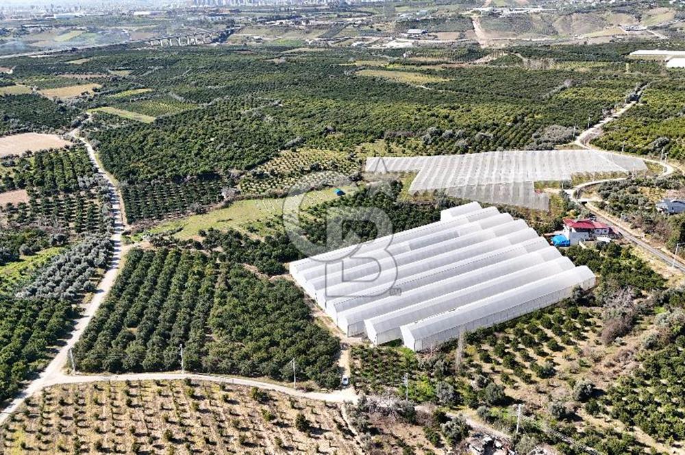 MERSİN IĞDIR’DA SATILIK TAM DONANIMLI GÜL SERASI