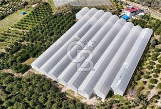 MERSİN IĞDIR’DA SATILIK TAM DONANIMLI GÜL SERASI - 10 - 338548