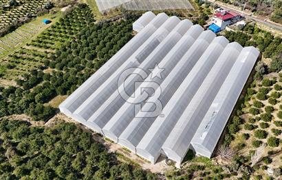 MERSİN IĞDIR’DA SATILIK TAM DONANIMLI GÜL SERASI