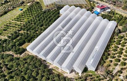 MERSİN IĞDIR’DA SATILIK TAM DONANIMLI GÜL SERASI