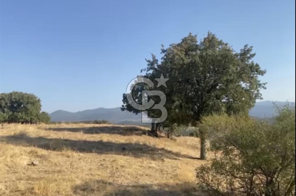 Menemen Telekler’de 4.853 m² Yatırımlık Satılık Tarla