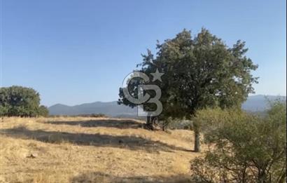 Menemen Telekler’de 4.853 m² Yatırımlık Satılık Tarla