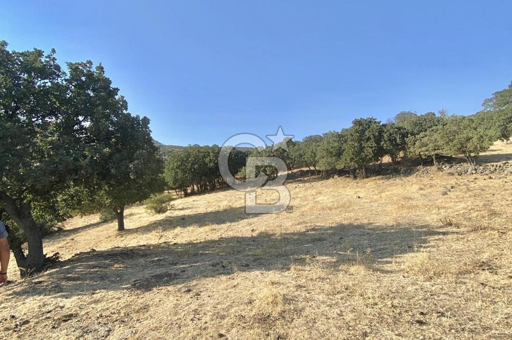 Menemen Telekler’de 4.853 m² Yatırımlık Satılık Tarla