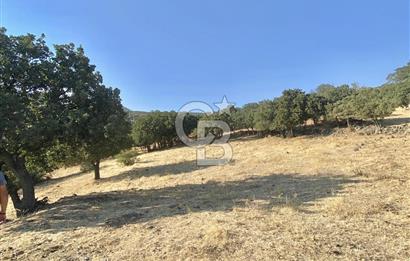 Menemen Telekler’de 4.853 m² Yatırımlık Satılık Tarla