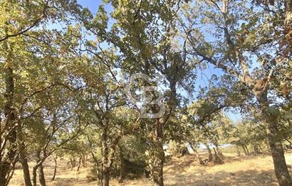 Menemen Telekler’de 4.853 m² Yatırımlık Satılık Tarla