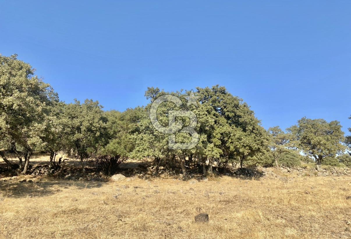 Menemen Telekler’de 4.853 m² Yatırımlık Satılık Tarla