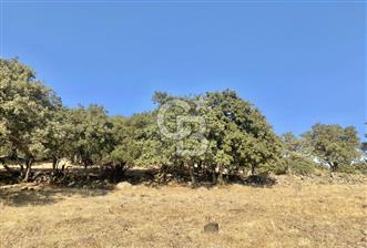 Menemen Telekler’de 4.853 m² Yatırımlık Satılık Tarla - 6 - 338531