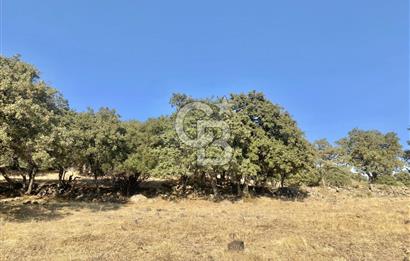 Menemen Telekler’de 4.853 m² Yatırımlık Satılık Tarla