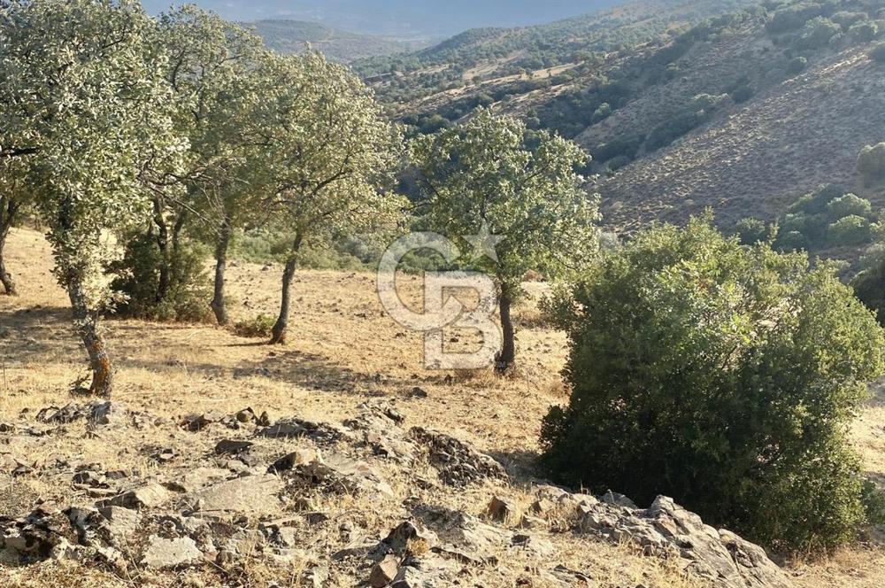 Menemen Telekler’de 4.853 m² Yatırımlık Satılık Tarla