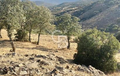 Menemen Telekler’de 4.853 m² Yatırımlık Satılık Tarla