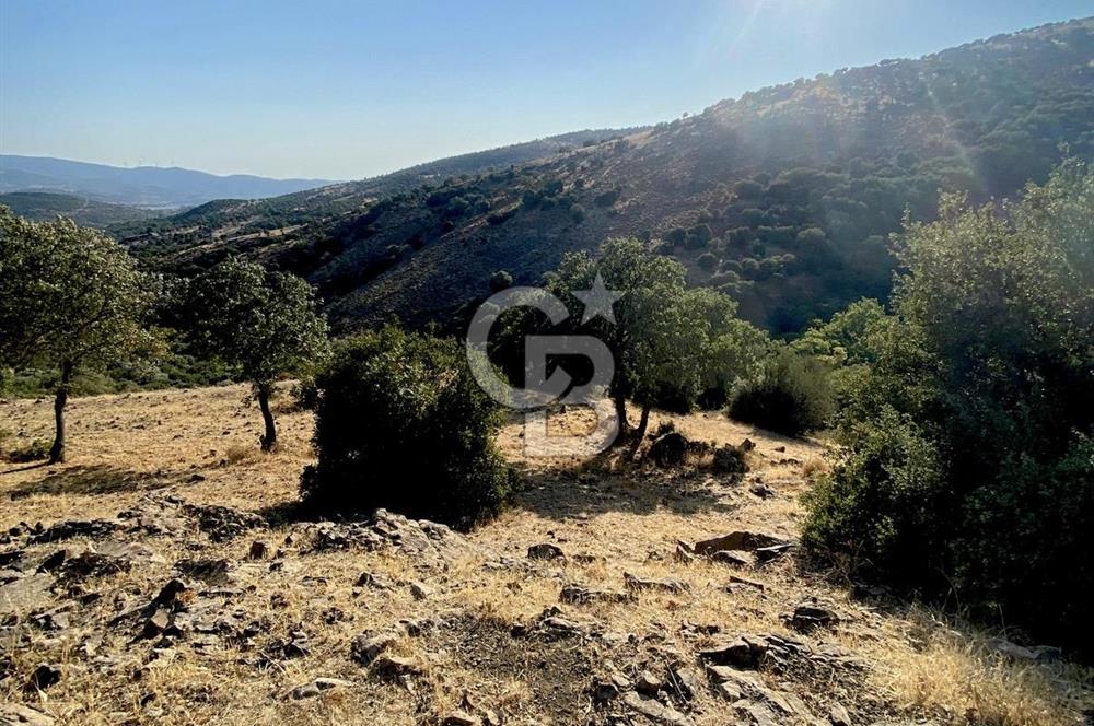 Menemen Telekler’de 4.853 m² Yatırımlık Satılık Tarla