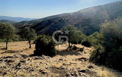 Menemen Telekler’de 4.853 m² Yatırımlık Satılık Tarla