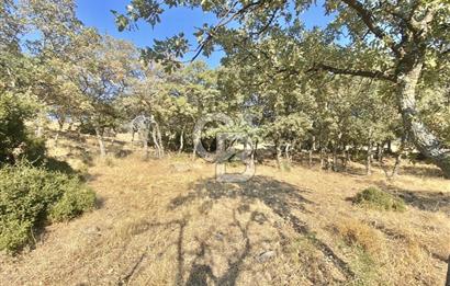 Menemen Telekler’de 4.853 m² Yatırımlık Satılık Tarla