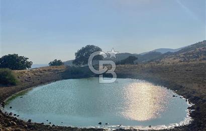 Menemen Telekler’de 4.853 m² Yatırımlık Satılık Tarla