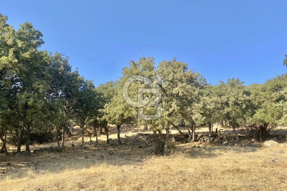 Menemen Telekler’de 4.853 m² Yatırımlık Satılık Tarla