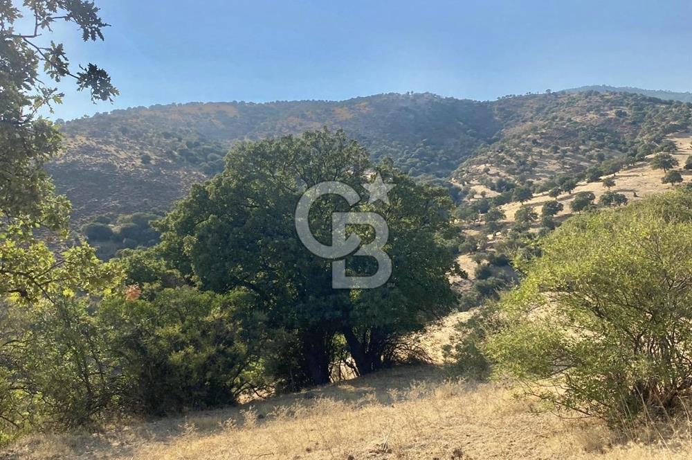 Menemen Telekler’de 4.853 m² Yatırımlık Satılık Tarla