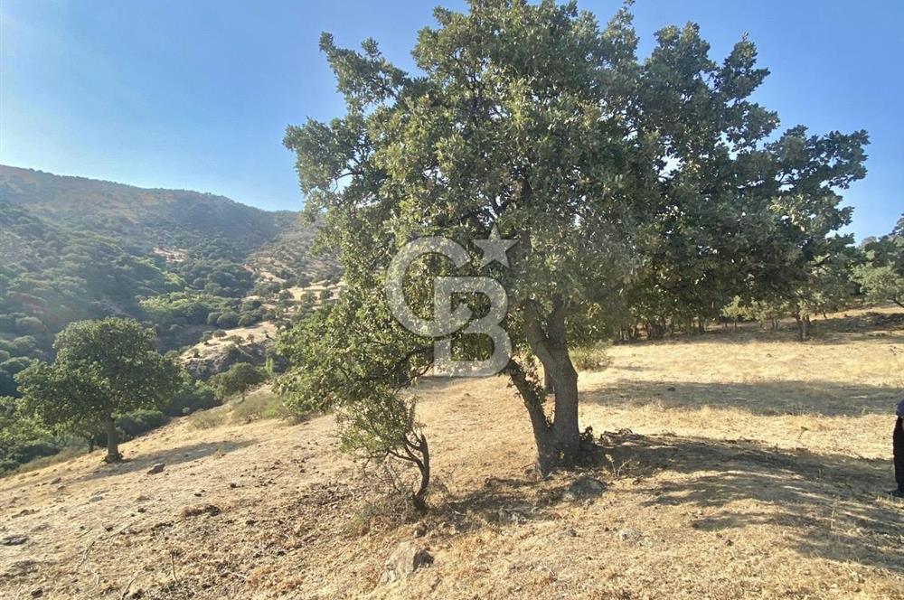 Menemen Telekler’de 4.853 m² Yatırımlık Satılık Tarla