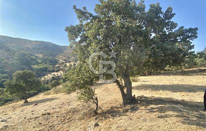 Menemen Telekler’de 4.853 m² Yatırımlık Satılık Tarla