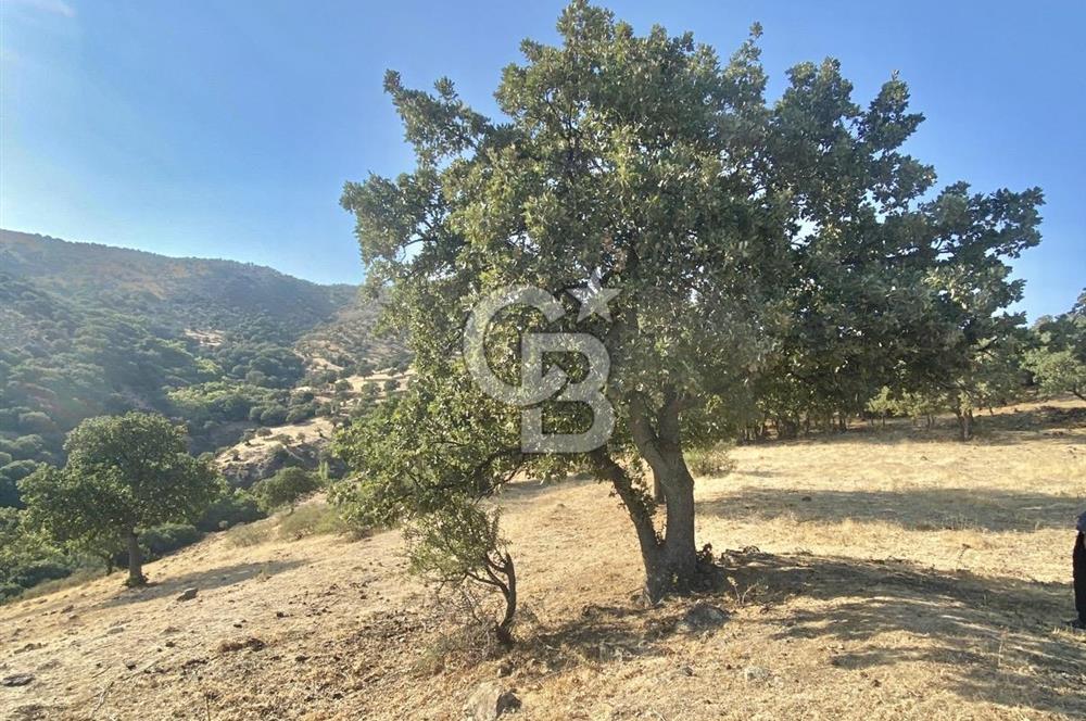 Menemen Telekler’de 4.853 m² Yatırımlık Satılık Tarla