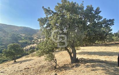 Menemen Telekler’de 4.853 m² Yatırımlık Satılık Tarla