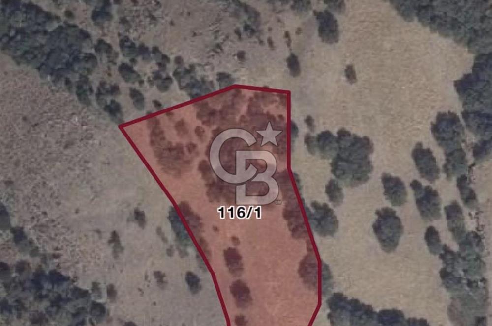 Menemen Telekler’de 4.853 m² Yatırımlık Satılık Tarla