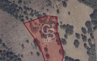 Menemen Telekler’de 4.853 m² Yatırımlık Satılık Tarla