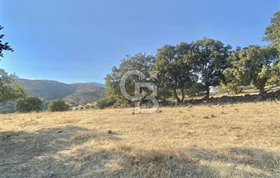 Menemen Telekler’de 4.853 m² Yatırımlık Satılık Tarla