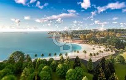 Kırşehir Kaman Nef 82 City 