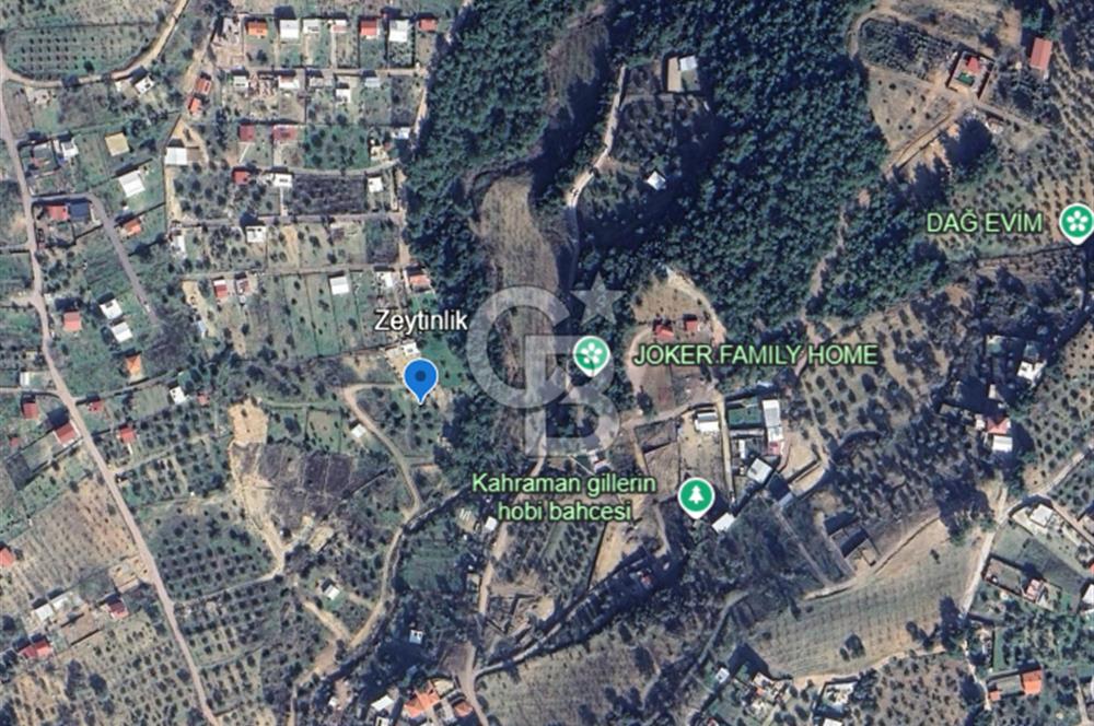 İZMİR BORNOVA YAKAKÖY’DE SATILIK ZEYTİNLİK CB PH 