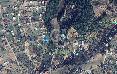 İZMİR BORNOVA YAKAKÖY’DE SATILIK ZEYTİNLİK CB PH 