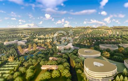 Kırşehir Kaman Nef 82 City