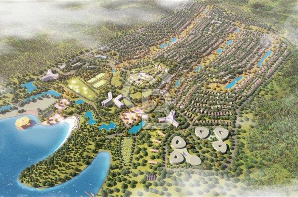 Kırşehir Kaman Nef 82 City