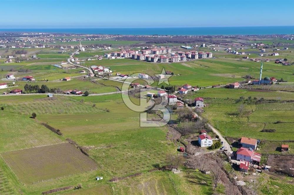 İmar sınırında tarla